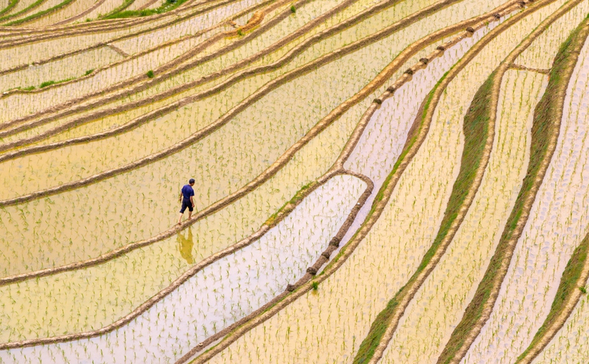 龙脊梯田风景图片高清图片