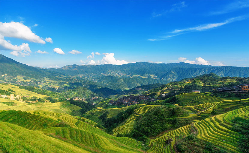 龙脊梯田